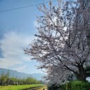 팀베스트최고체육관 | [주말여행] 창원 1박2일 : 2일차 창원토요코인 조식후기, 창원LG vs 부산KCC 프로농구 직관, 창원 맛집 2선