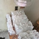 대박미용실 이미지