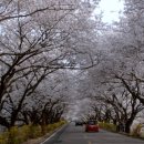 김유신장군로 이미지