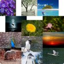 건양대학교 의과학관 이미지