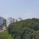 수서-104 이미지