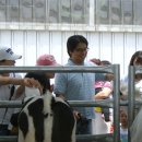 예진목장 이미지