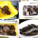 통영바다맛집 이미지