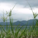 대청호펜션민박 이미지