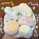 제주도 제주시 맛집 추천 (숲제주 분식점, 모찌마루 디저트 | 애견동반)