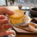 꼽슬이네 이미지