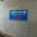 시장 | 노량진 전라상회 산오징어 제철 노량진수산시장 후기