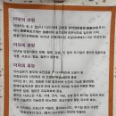 홍대감더덕토종닭 | 제주 구좌 도민 로컬 현지인 보양식 맛집 홍대감더덕토종닭