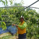 내덕농장 이미지