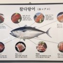 참치어신 이미지