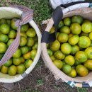 체험농장 민박 이미지