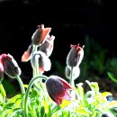 테라행정사사무소 이미지