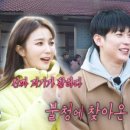 제우상사 | 불타는 청춘 후기