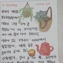 정셰프의 진심 파스타 이미지