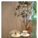 J . M 안경 이미지