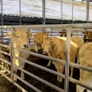 혜린농장 이미지