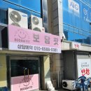 보담핏
