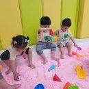 데이파크(1) 이미지