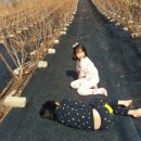 목골농장 이미지