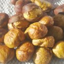 공주농장 이미지