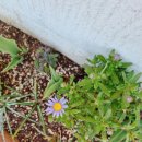 일과서림 이미지