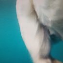 구제나라 이미지