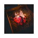 사나래글램핑장 이미지