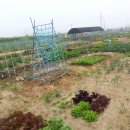 옥길농장 이미지