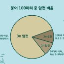 붕어나라낚시터 이미지