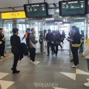 대전국제여행사 이미지