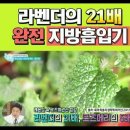 디에스에이 이미지