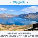 천지 티스토리