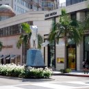 유니언버드 이미지