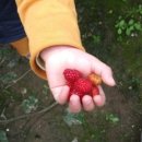 방실농장 이미지