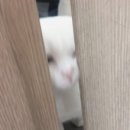 희집 이미지