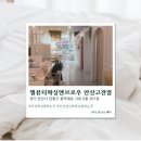 제이앤브로우 | [안산] 안산왁싱 엘뷰티왁싱앤브로우 안산고잔점 솔직후기