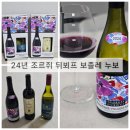 지에스25천안비스타동원점 | 그랜트 버지 벤치마크 샤도네이, 24년 보졸레 누보, gs25, 와인25+ 픽업 사전예약 시음 후기, 내돈내산