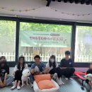 상희독스 아카데미 이미지