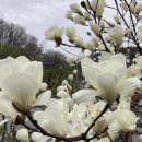 충효어린이공원 이미지