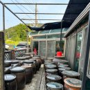 향나무집 이미지