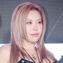가비스토리 이미지