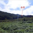 반송동251 이미지