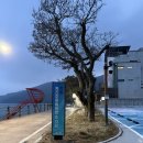 [경남 거제] 거제 횟집 추천, 정든 횟집 , 흑진주 몽돌해변 맛집, 내돈내산 후기