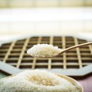 봉다리농장 이미지