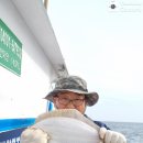 울진참가자미 이미지