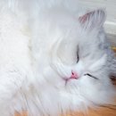 폴리파크 칠곡점 이미지