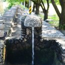 돌담과 초록 이미지