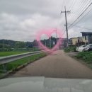 올바른개성손만두왕송호수점