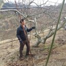 청우농장 이미지