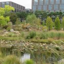 서울식물원 이미지